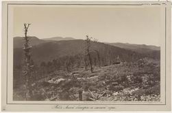 Вид Лысой батареи с лесной горы. 1877 г.