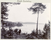 Финский пейзаж с озером и сосновым лесом