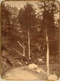 Груженная повозка и путники на горной дороге, ведущей через Зекарский перевал