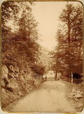 Вид горной дороги, идущей по Зекарскому перевалу через хребет Аджаро-Ахалцихских гор