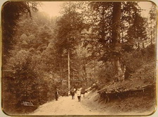 Вид горной дороги, идущей по Зекарскому перевалу через хребет Аджаро-Ахалцихских гор