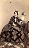 Портрет императрицы Марии Александровны. Не позднее июня 1869