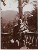Николай II на балконе