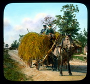 Крестьяне перевозят сено