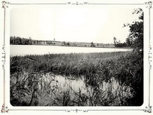 Вид озера Вершито I-е на третьей версте от истока реки 1903 г. Тверская губерния.