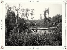 Вид реки Волги на четвертой версте, вид прудов. 1903 г. Тверская губерния.