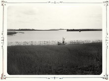 Вид озера Селигер. д. Конево и Баранова острова. 1903 г. Тверская губерния, д. Конево.
