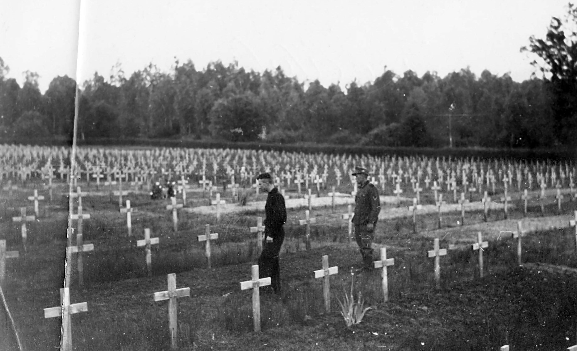 Могилы немецких солдат 1941-1945 в России