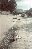 Убитые советские военнопленные на улице оккупированного Киева.