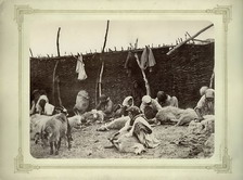 Стрижка овец. Цимлянская станица. 1875-1876