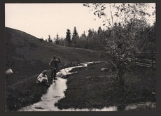 Первый нагорный берег Волги (Вишняков Е. П.-1892)