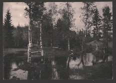 Разлив Волги у д. Алексеевка (Вишняков Е. П.-1892)