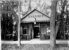 Павильон по продаже Ямайских бананов, сентябрь 1911 г.