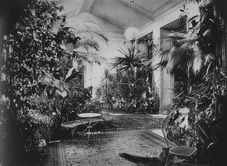 Дом И. Ф. Паскевича на Английской набережной. Зимний сад. 1860-1866 годы.