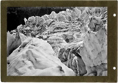 Военно-Осетинская дорога. Сосны Гиганты на высоте до 10000 футов над уровнем моря у Цейских ледников.