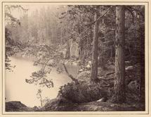 Валаамский пейзаж. - 1887